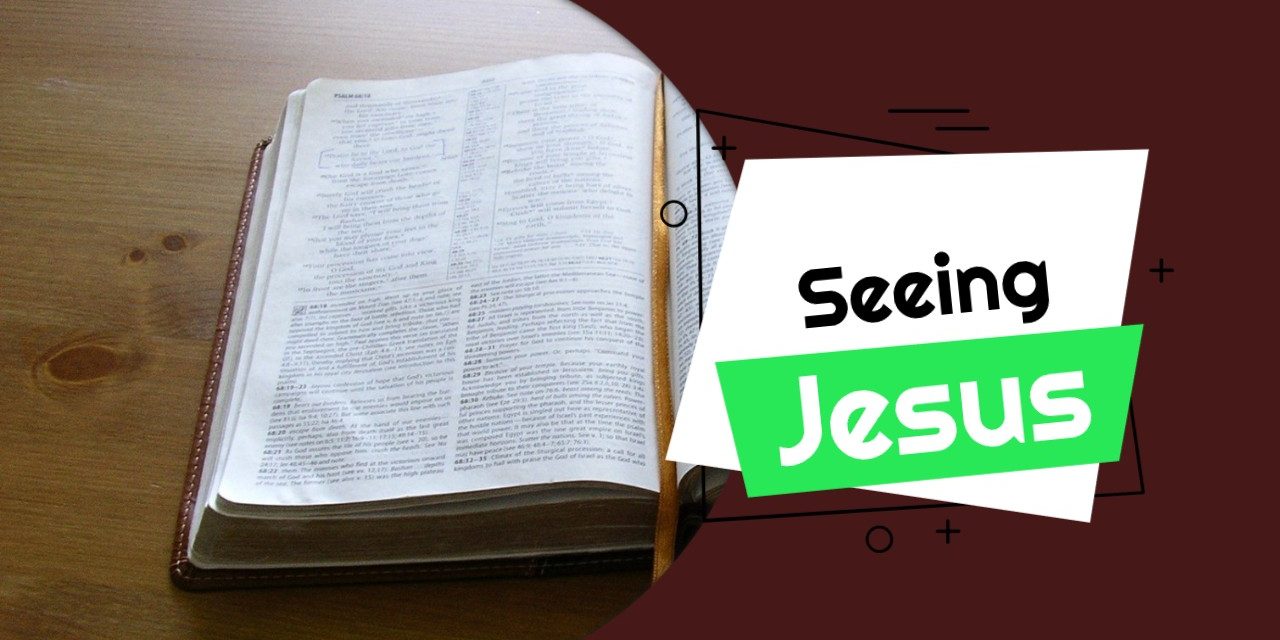 Seeing Jesus Seeing Jesus in Every Page of the Bible